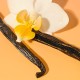 بالم لب مرطوب کننده برتس بیز مدل vanilla bean 