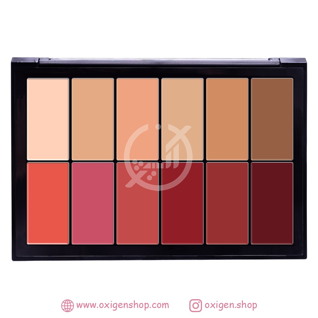 پالت رژگونه و کانتور چرب فیوچر میکاپ رنگ FU803 پالت رژگونه و کانتور چرب فیوچر میکاپ رنگ FU803