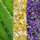 اسپری آبرسان ماریو بادسکو مدل aloe chamomile and lavender اسپری آبرسان ماریو بادسکو مدل aloe chamomile and lavender