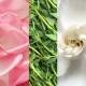 اسپری آبرسان ماریو بادسکو مدل aloe herbs and rosewater اسپری آبرسان ماریو بادسکو مدل aloe herbs and rosewater