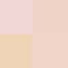 رنگ پودر فیکس N° 03 VOILE ROSÉ