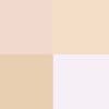 رنگ پودر فیکس N° 02 SATIN BLANC