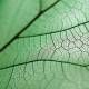 ژل ضد ترک لیراک مدل Phytolastil ژل ضد ترک لیراک مدل Phytolastil