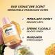 ست مراقبت از مو گیسو مدل Honey Gloss ست مراقبت از مو گیسو مدل Honey Gloss