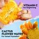 اسپری فیکس اربن دیکی مدل All Nighter Vitamin C